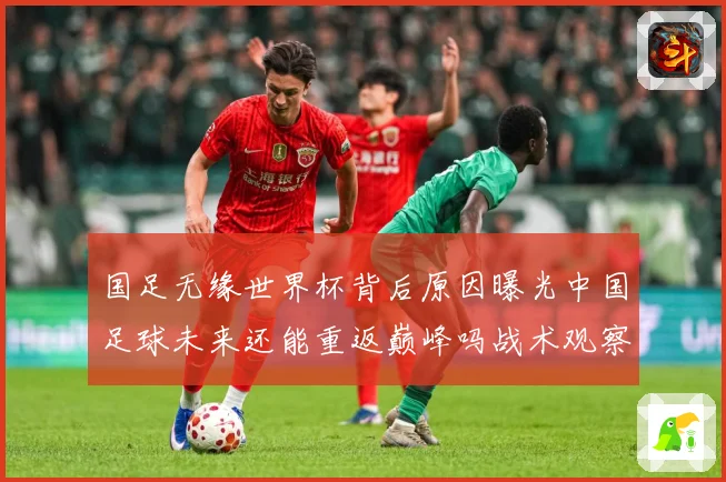 国足无缘世界杯背后原因曝光中国足球未来还能重返巅峰吗战术观察：最新赛事动态与深度分析